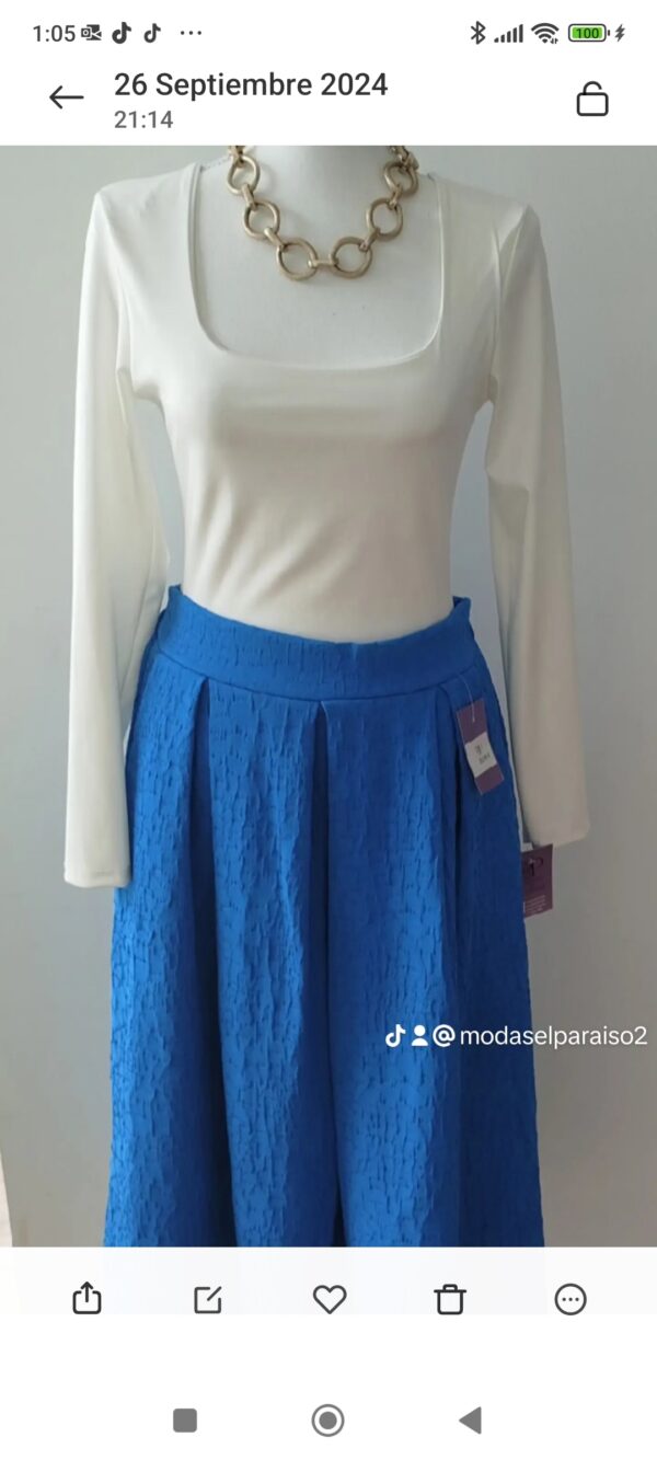 Outlet. Falda Bridgenton 2 colores - Imagen 2