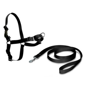 ARNES EASY WALK MEDIANO COLOR NEGRO