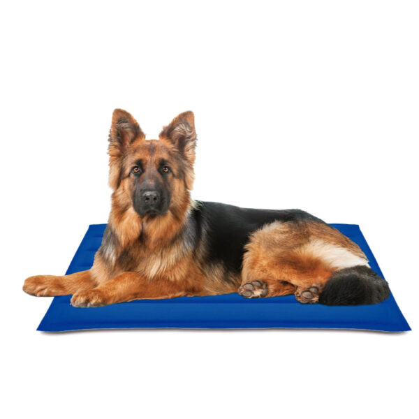 ALFOMBRILLA REFRESCANTE COOL MAT GEL AZUL 90x105cm NAYECO