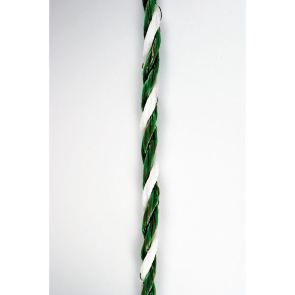 CUERDA CONDUCTORA 5mm 200M PASTORMATIC - Imagen 2