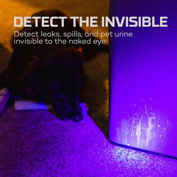 TORCHY UV - LINTERNA LUZ ULTRAVIOLETA. NEBO - Imagen 6