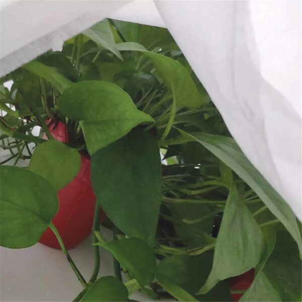 TELA DE PROTECCIÓN PARA CULTIVOS-BOBINA 2x20m 30gr/m² BIOTOP GARDEN - Imagen 3
