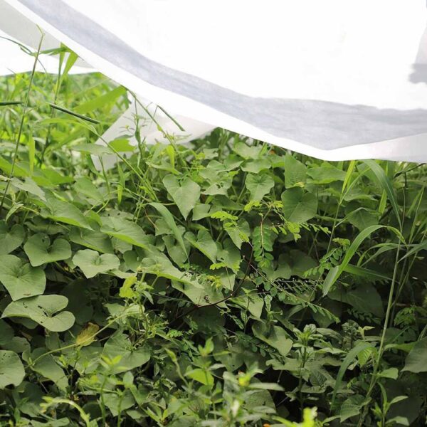 TELA DE PROTECCIÓN PARA CULTIVOS-BOBINA 2x20m 30gr/m² BIOTOP GARDEN - Imagen 5