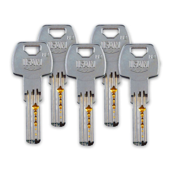 CERROJO CS88SC M50. ACABADO CROMO SATINADO. CILINDRO 50mm. CON 5 LLAVES DE SEGURIDAD. IFAM - Imagen 3