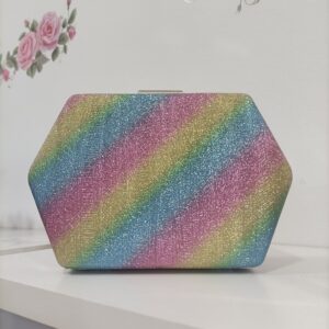 Bolso de fiesta
