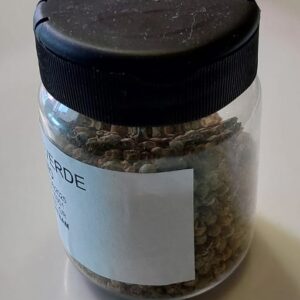Pimienta verde grano Pequeña 1ud.