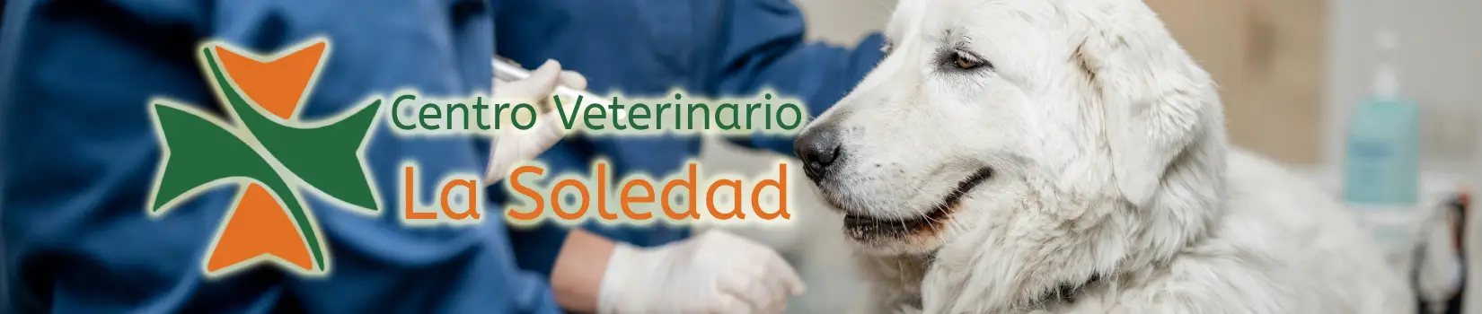 C V La Soledad