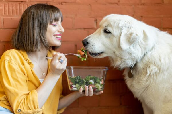 Nutrición animal