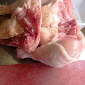 Traseros de pollo