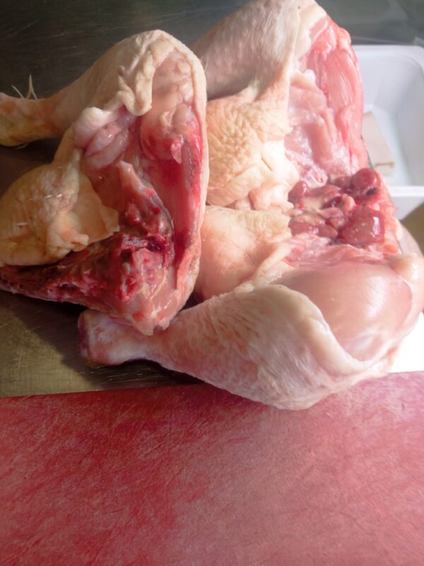 Traseros de pollo
