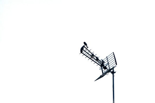 Promoción: 10% de descuento en instalación o reparación de antena