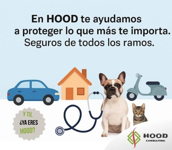Solicitud estudio personalizado - Seguros de cualquier ramo