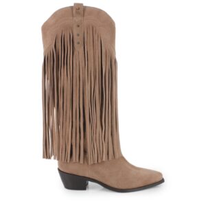 Botas de tacon Anahi ( Blogger original)