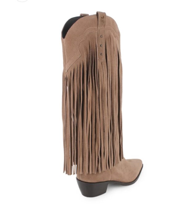 Botas de tacon Anahi ( Blogger original) - Imagen 3